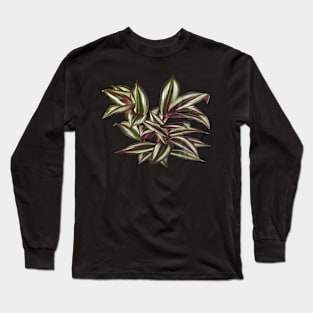 Tradescantia zebrina  - Botanical Illustration Long Sleeve T-Shirt